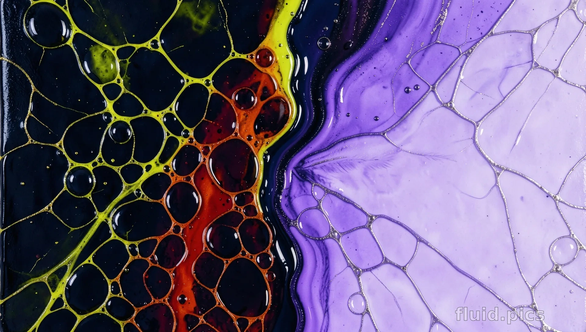 Текучая работа Fluid Studio с перьевым движением