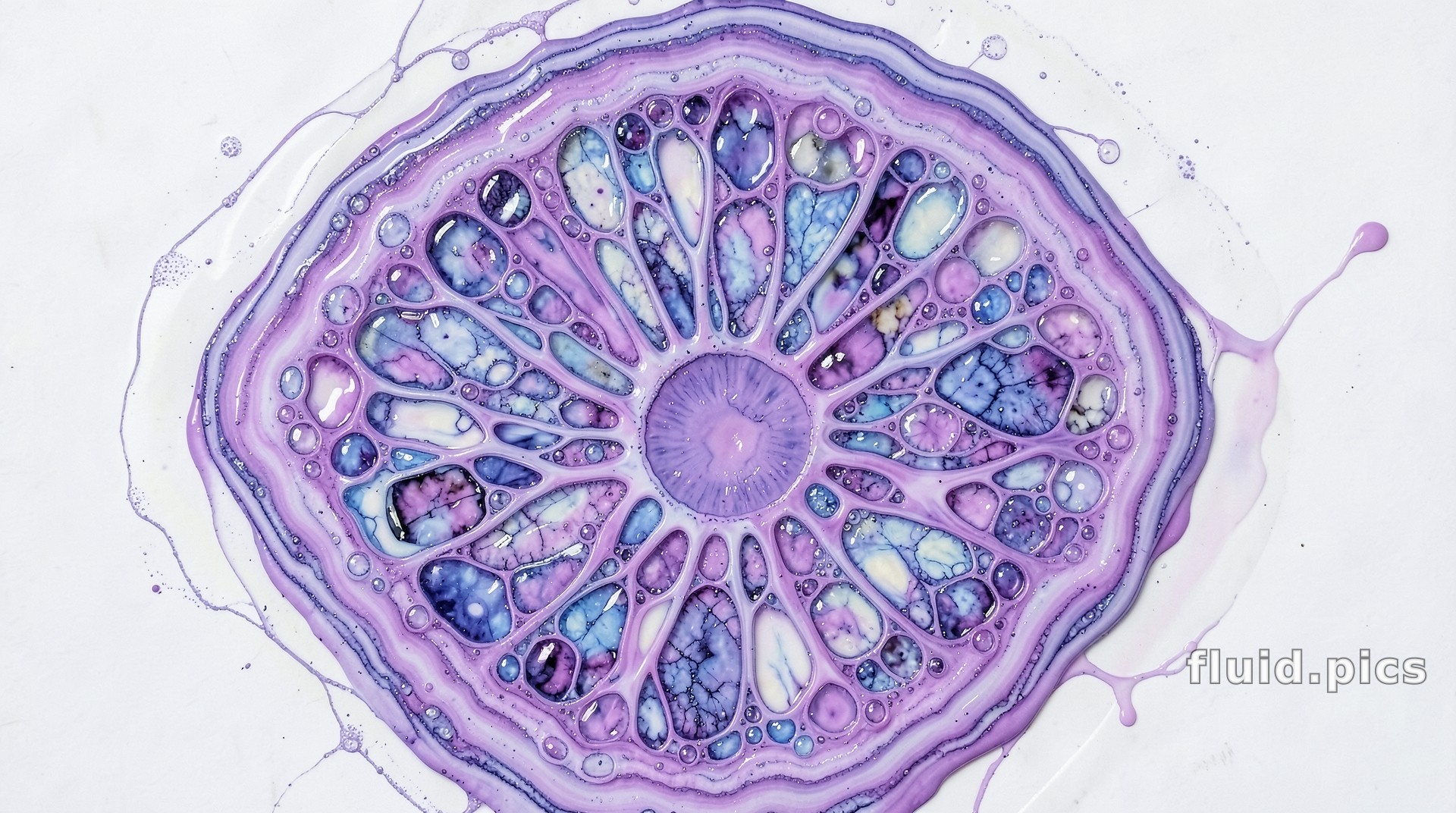 Violet Citrus — Fluid Art