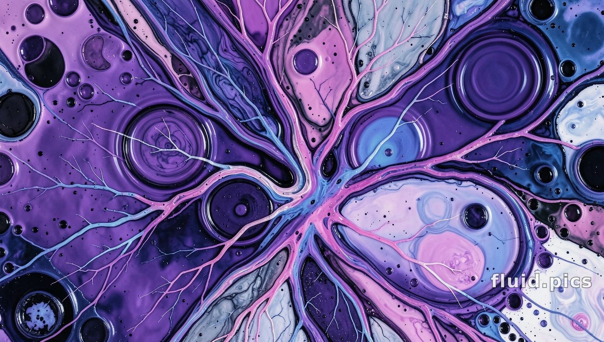 Dawn Root of Creation — Гибридное искусство