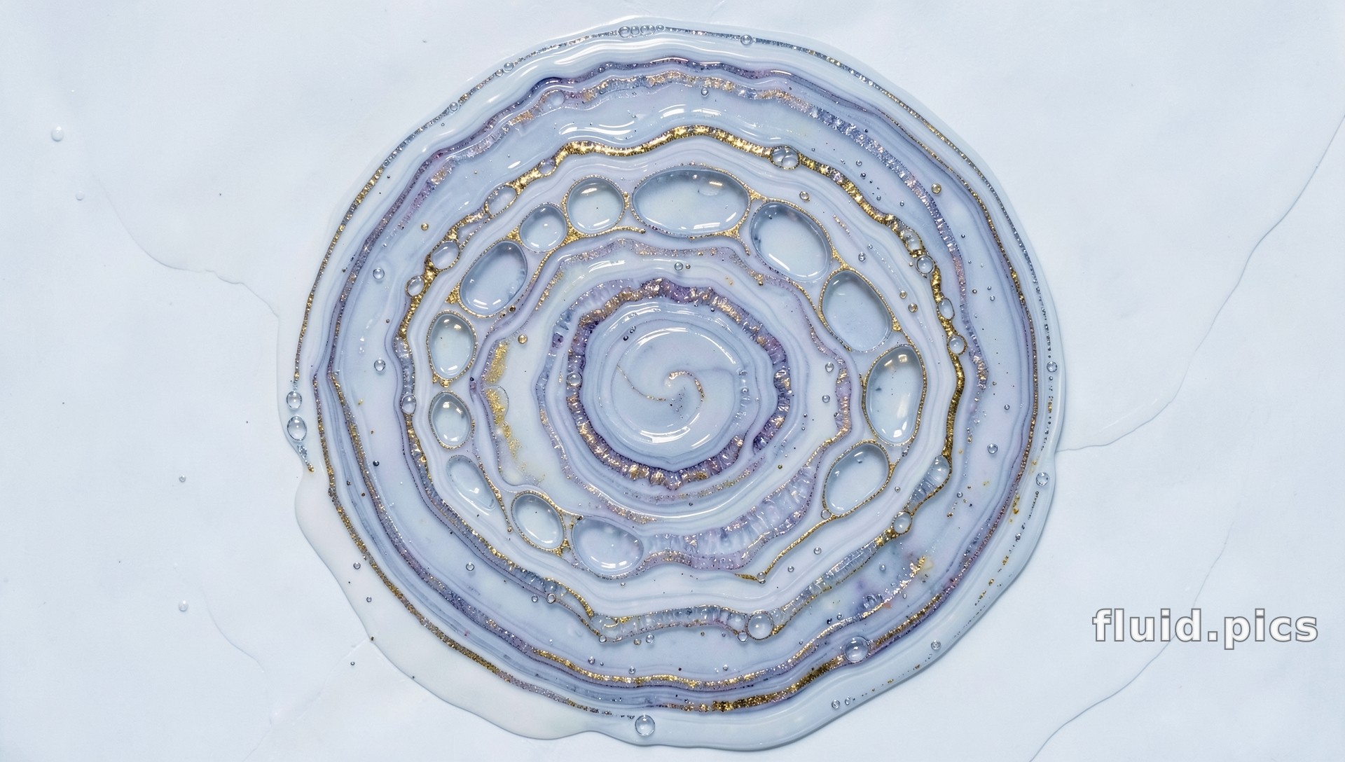 Silver Shell Spiral — Fluid Art
