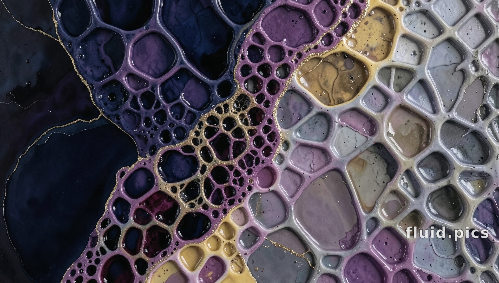Reef of Glass Cells — Гибридное искусство