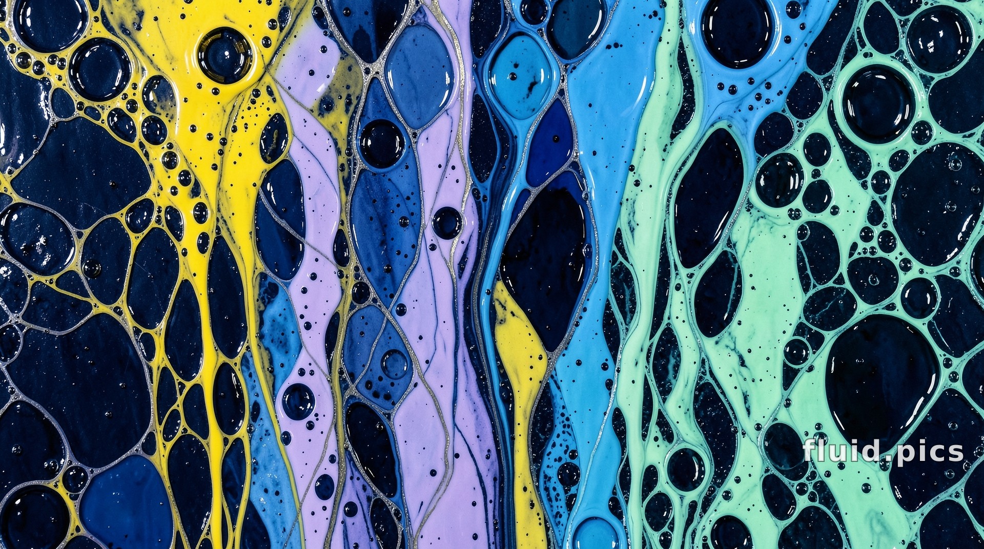 Night Curtain Colony — Fluid Art