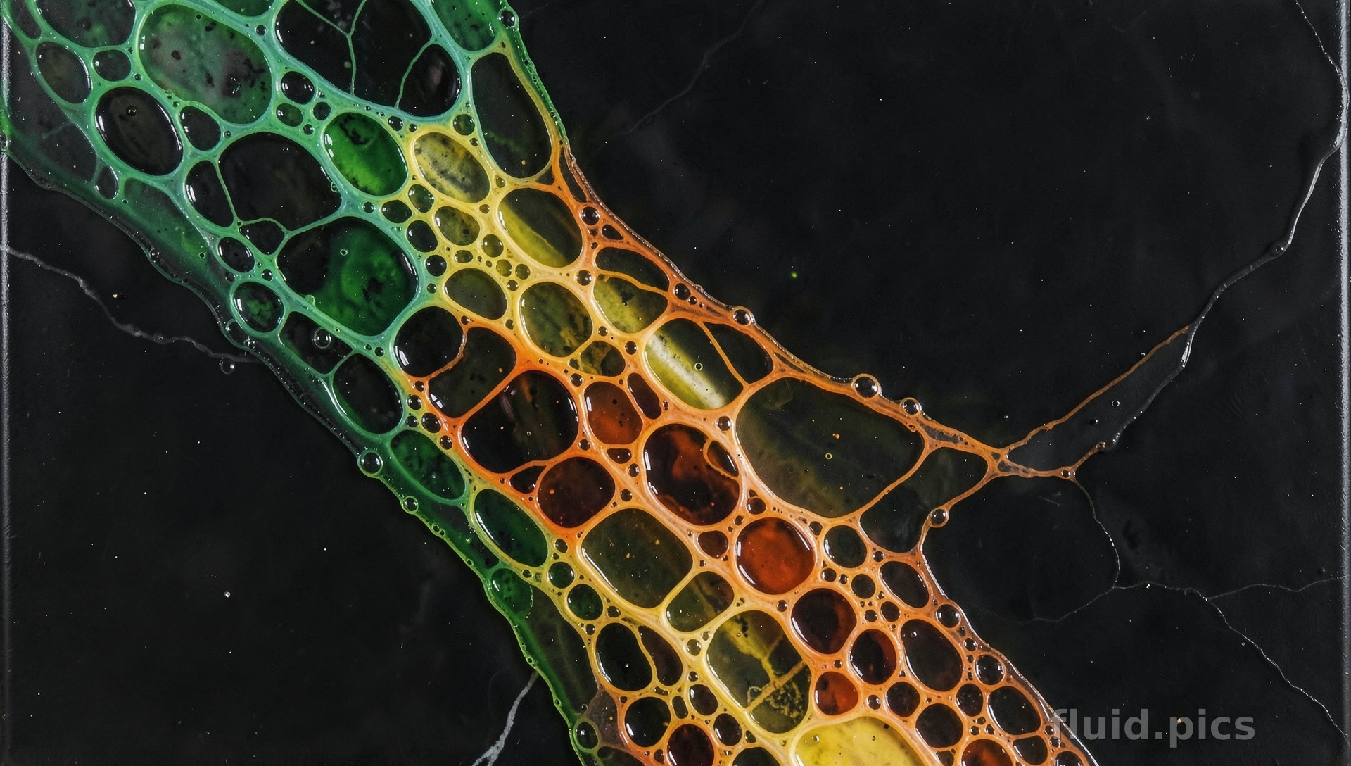 Honeycomb of the Night City — Fluid Art