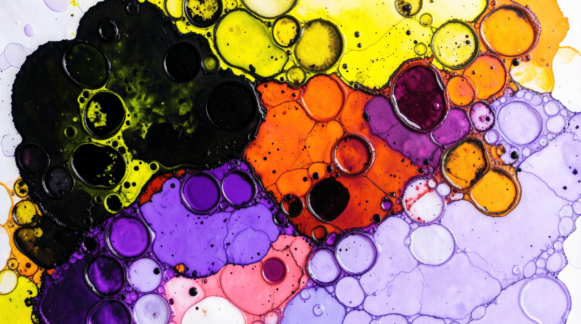 Cluster of Colour — Fluid Art