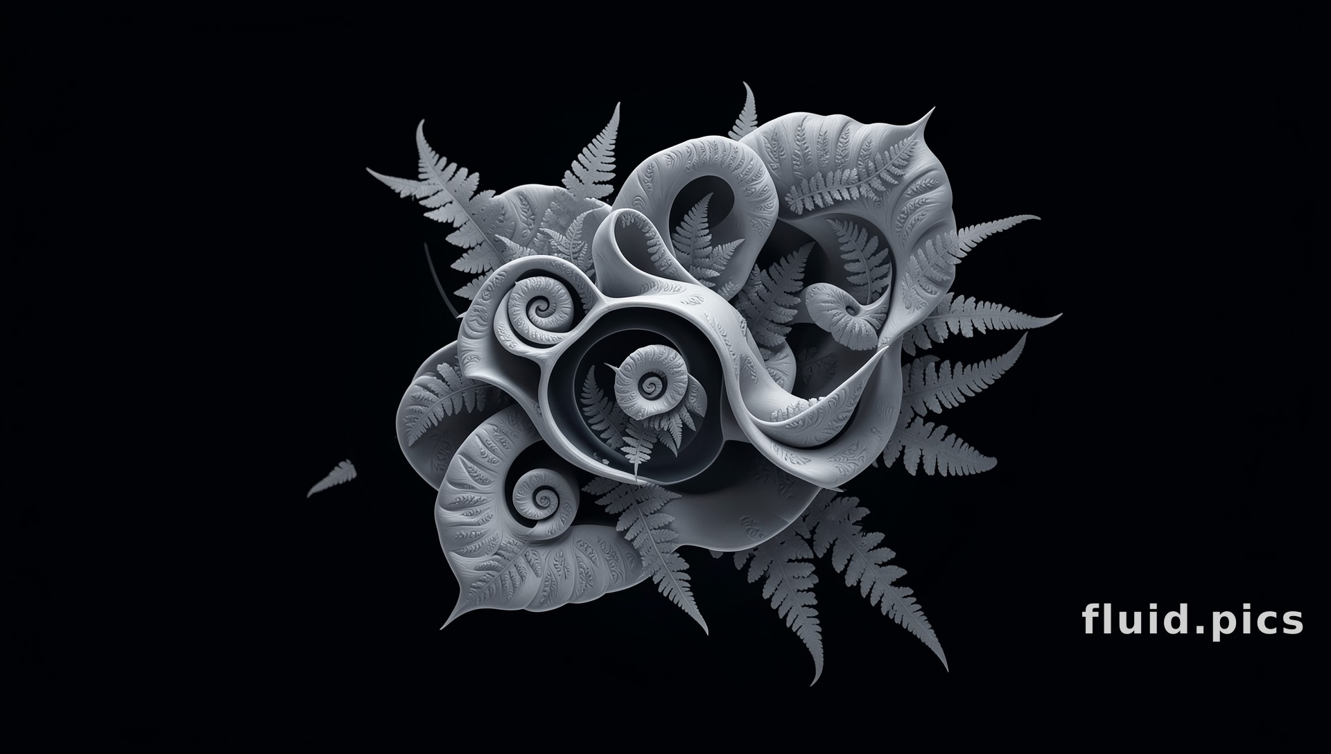 Fern, Spiral, Night — Fractal Art