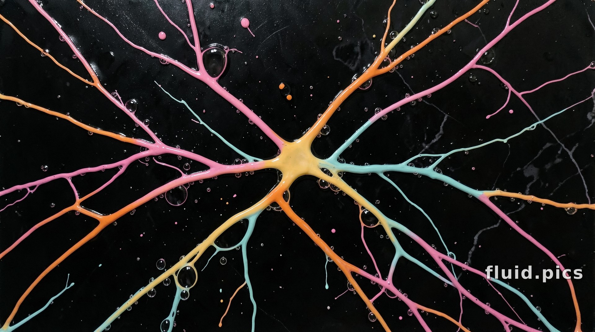Star Coral — Fluid Art