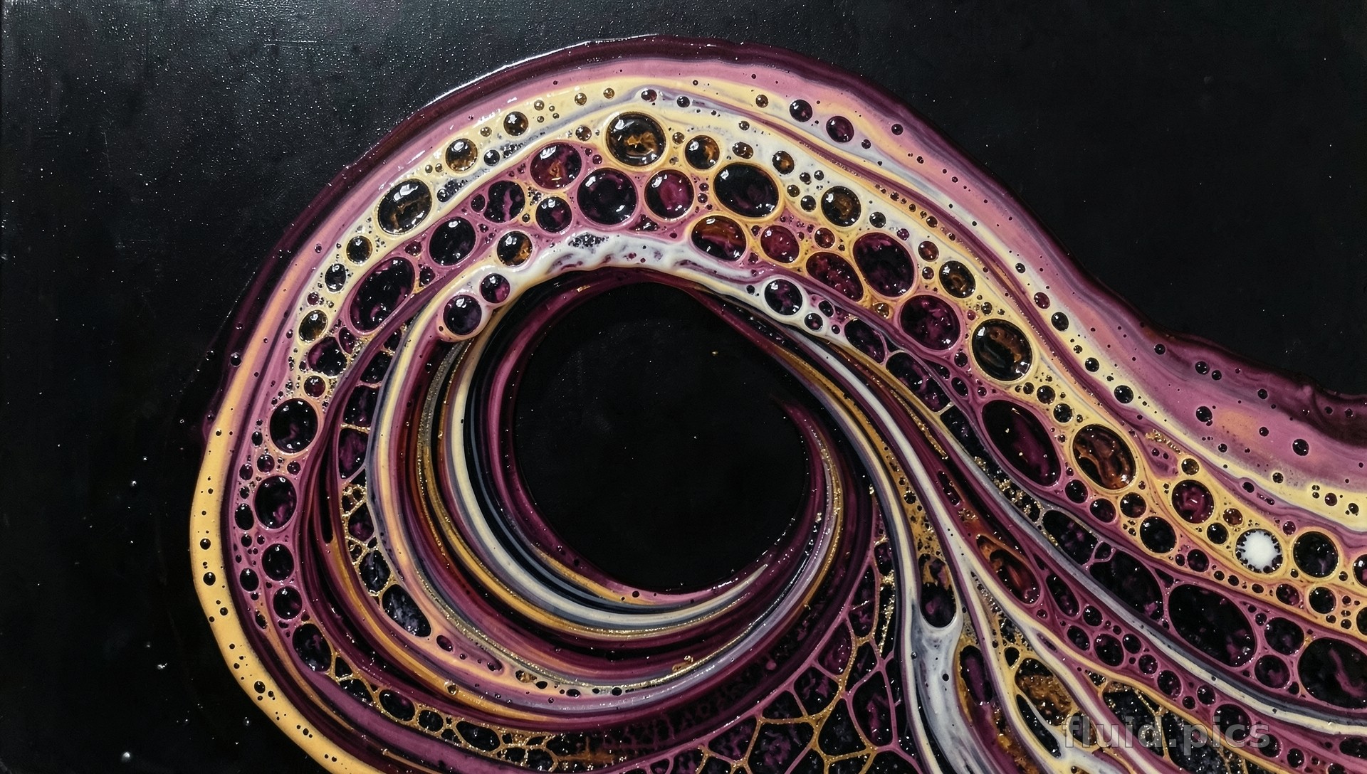 Snail of the Universe — Fluid Art
