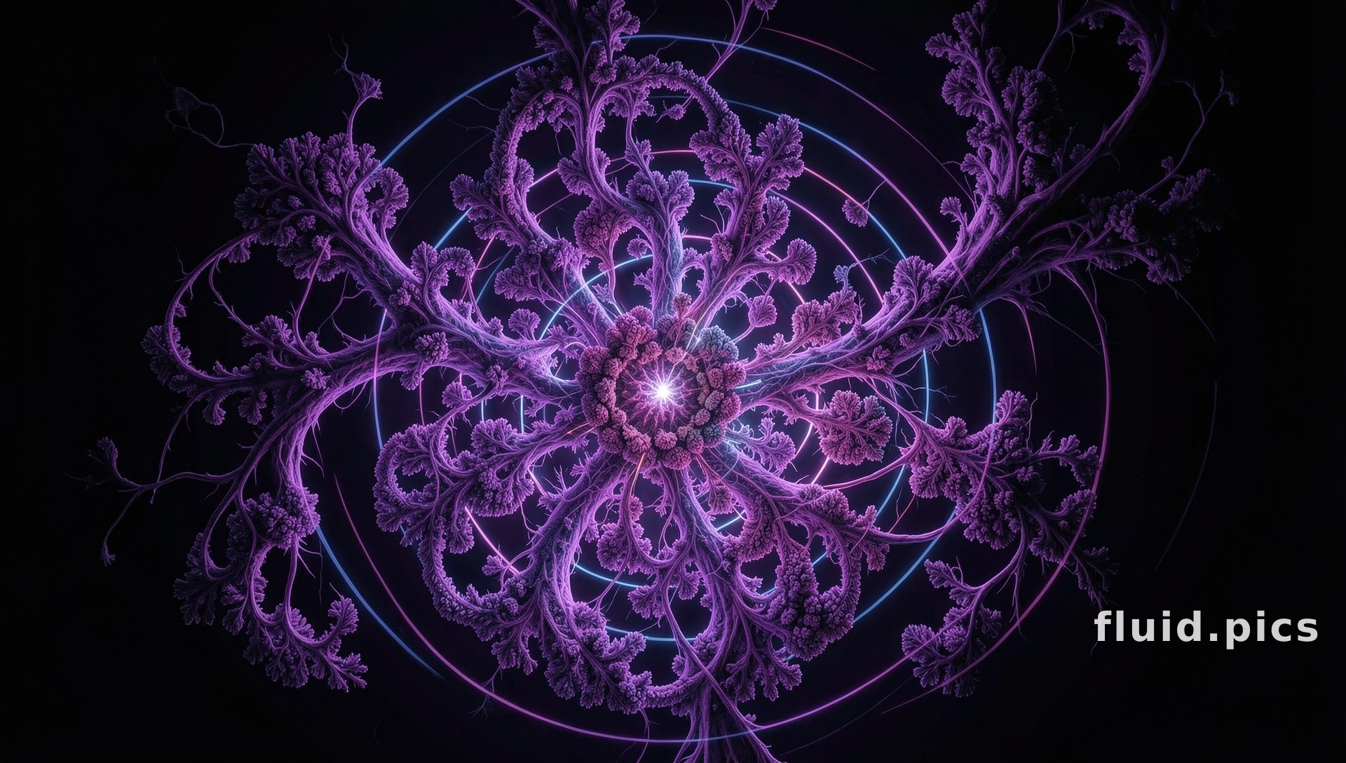 Star Sprout — Fractal Art